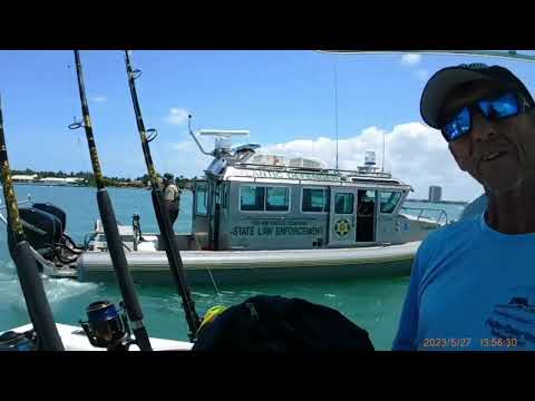 FWC catch unregistered charter boat with an undersized dolphin