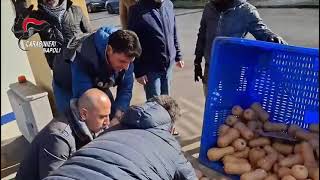 sequestrati-4-quintali-di-hashish-nascosti-tra-la-verdura