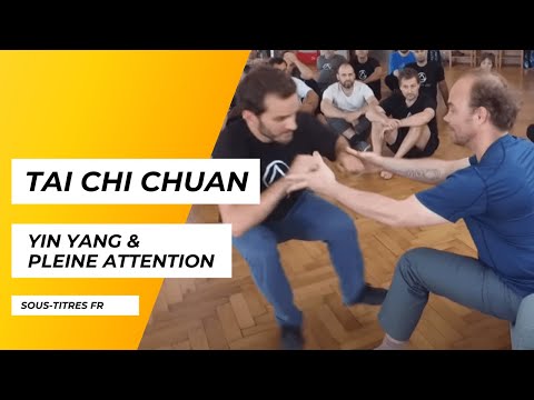 Tai Chi, Yin Yang, pleine attention et moment présent - Adam Mizner (avec sous-titres en français)