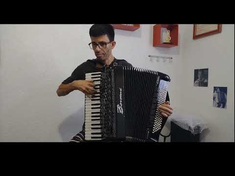 ( VENDIDO)  acordeon Borsini PL 4117 MC duplo cassoto