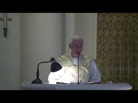 Fr. Joseph Illo's Sunday Homily. Easter Sunday  March  31, 2024