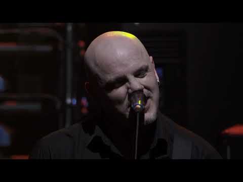 The Stranglers, l'Olympia Bruno Coquatrix, Paris 2014