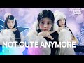 NOT CUTE ANYMORE ILLIT SBS 251207 방송
