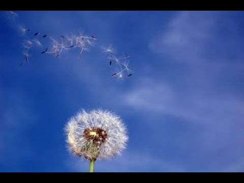 näin se tiistai sitten meni