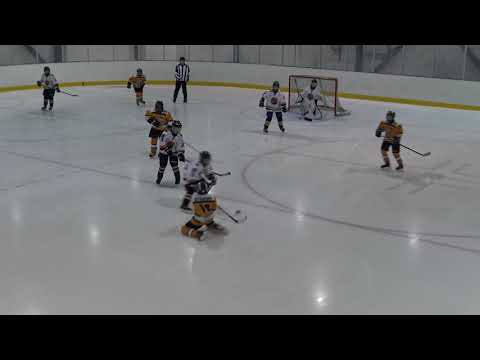 Kurra 08 - Haukat 08   01/20