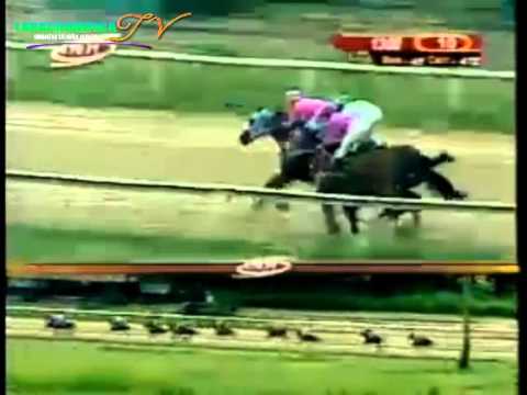 VALENCIA 10 CARRERA VIERNES 05 DE SEPTIEMBRE DEL 2014