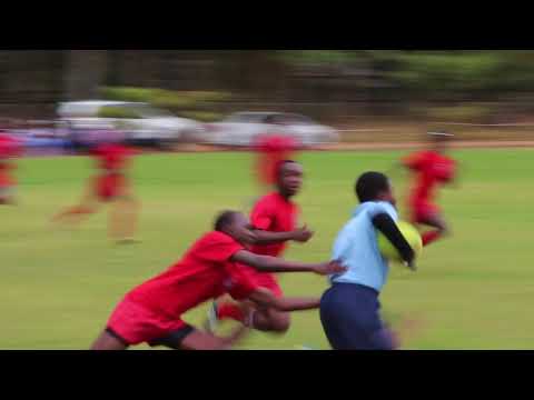 Rugby