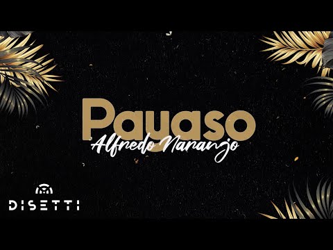 Alfredo Naranjo - Payaso (Audio Oficial) | Salsa Romántica Para Bailar