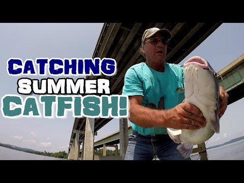 How To Catch Catfish In The Summer - Catfishing Techniques To Try!