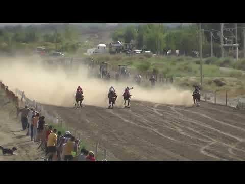 CHE TUNITA  Club Hípico Añelo - Añelo - Neuquén - 12-03-2023