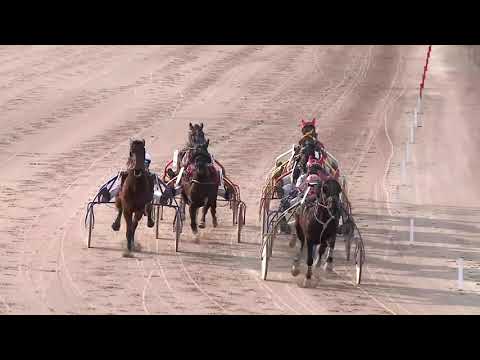 2020.03.07. 03. futam - INGYENÉLŐ HENDIKEP