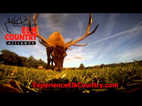 Elk Country. PA (Keystone Elk Country Alliance)