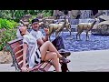 Sangavi Hot Song S Full Hd 4k Navelshowraresongs5815