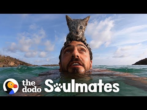 5-Week-Old Kitten Loves Swimming With Her Dad | The Dodo Soulmates