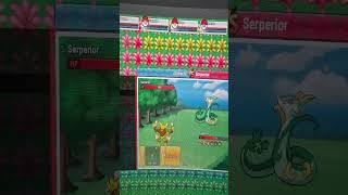 LvL3 NeXt special encounter 👀🔝 #ppo #pokemonnexus # #pokenexus #pokemon #pokemontiktok #shiny #ninte
