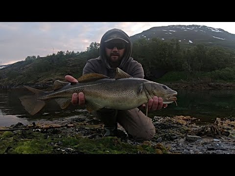 YÖKALASSA PIENELLÄ VUOROVESI VIRRALLA - KALASTUS NORJASSA