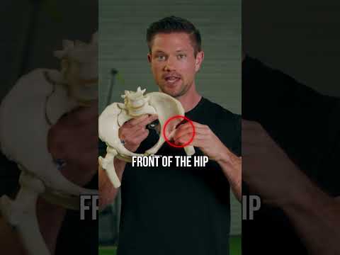 Hip pinching mobility support routine preview