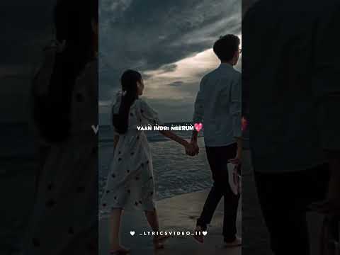 Nee indri naanum💖Naan indri neeyum whatsapp status lyrics video Seramal ponaal🫂Vaazhaamalsong💜#short