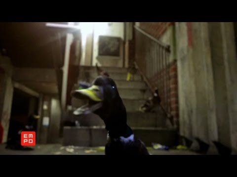 Empo Tv #283 Parte 3