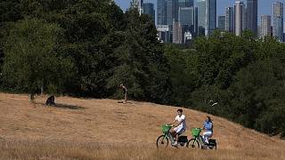 Europa sufre presión sobre sus recursos por las olas de calor