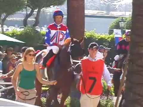 2007 Hollywood Gold Cup Winner