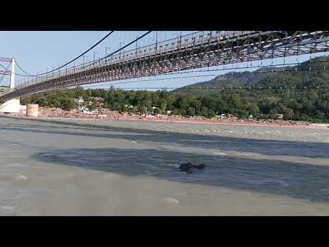 Beautiful Ganga Darshan @ Rushikesh on @dangamasti8303