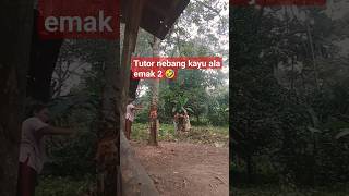 Tutor nebang pohon ala emak² #lucu ?