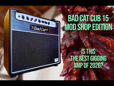 Bad Cat Cub 15 Mod Shop Edition image 10