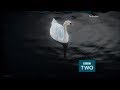 BBC Two HD Continuity 26th September 2018 8
