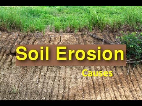 Soil Erosion Causes \u0026  Soil Conservation -Video for  Kids