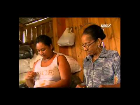 Século News 21/05/2015 - Lei biodiversidade