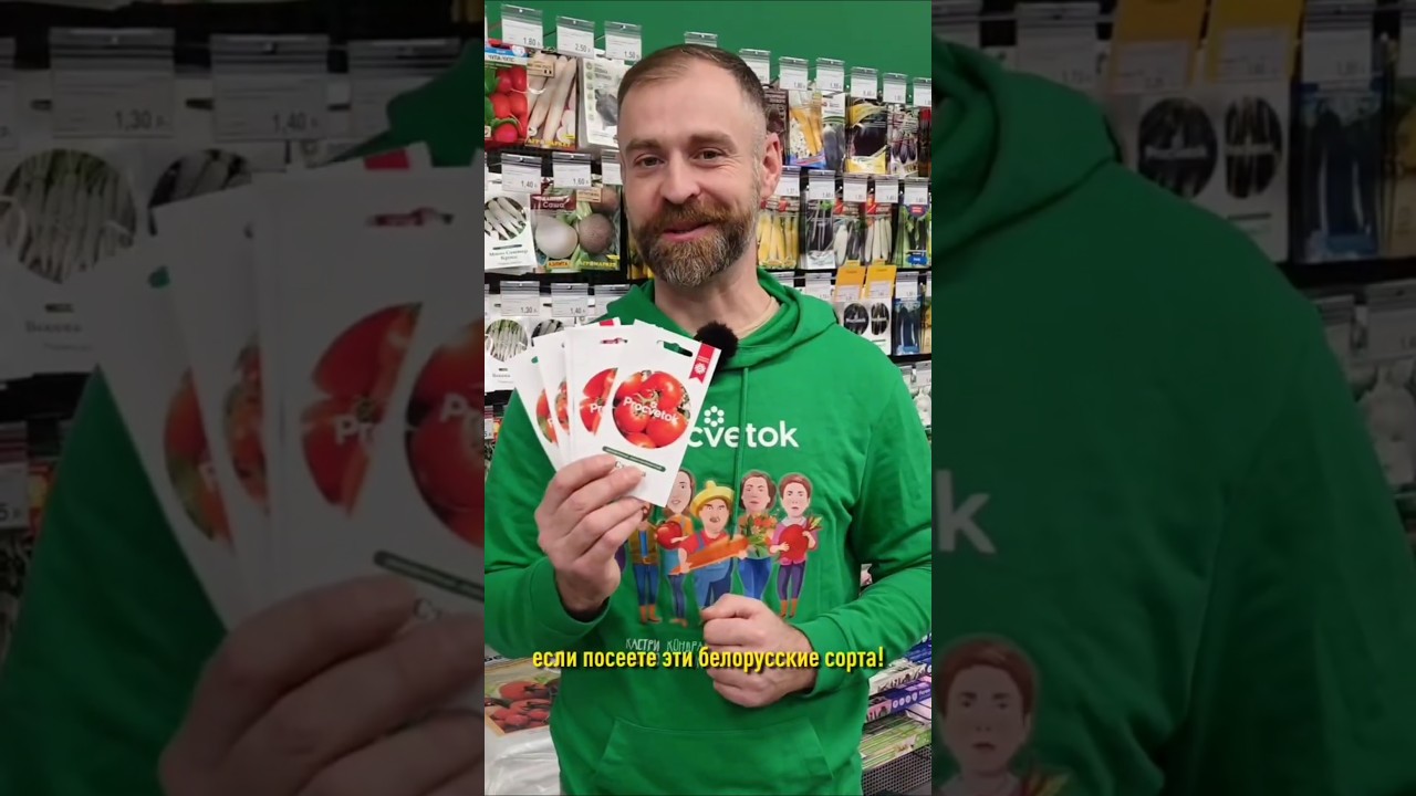 Томаты будете собирать ведрами, если посеете эти белорусские сорта!