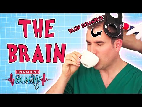 Operation Ouch - The Brain | Amazing Body Facts for Kids