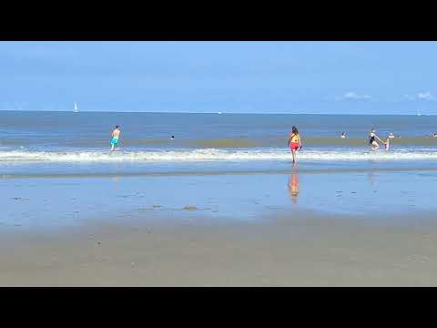 Nyra's first day at the beach 🏖️#3