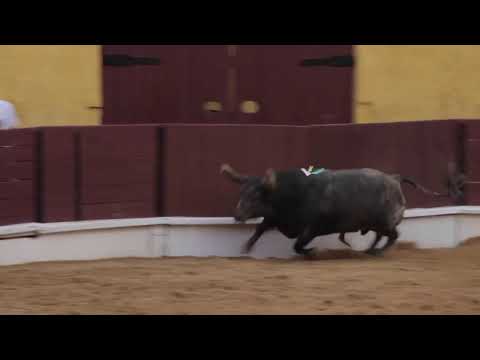 ASCENSÃO 2020 – 23 de maio