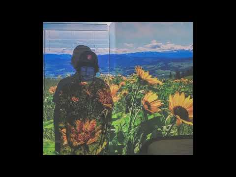 [free] guardin + skele + midwest emo type beat - brokenDreams [prod. rubbish + jolst]