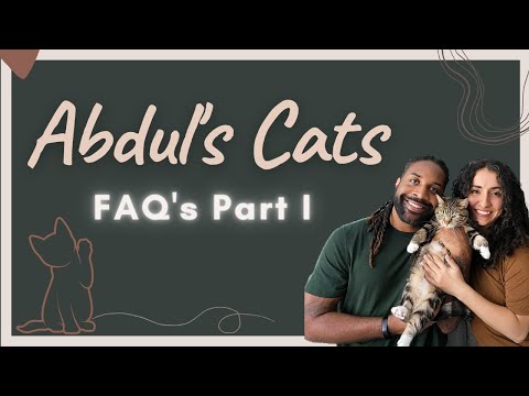 Abdul's Cats Frequently Asked Questions