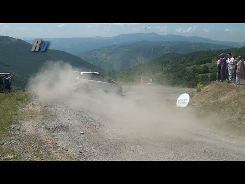 2015 Yeşil Bursa Rallisi / Hakkı Ağaoğlu - Nehir Yılmaz / Peugeot 207 S2000