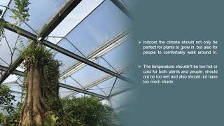 Make your Own Beautiful Indoor Botanical Garden | Green Conceptors