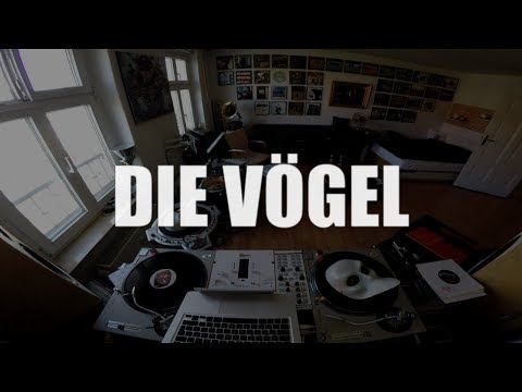 DJ Robert Smith & DJ Danetic - DIE VÖGEL (Scratch Session)