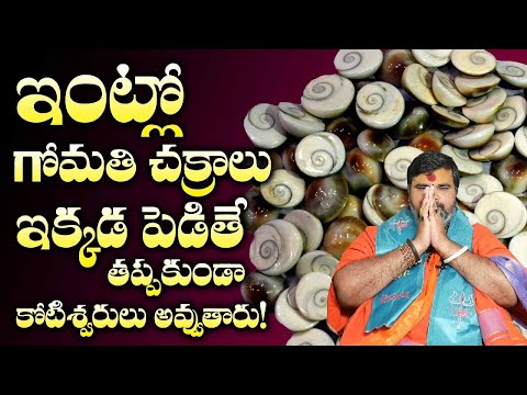గోమతి చక్రం ధరించడం వలన కలిగే ప్రయోజనాలు ఏమిటి|Gomathi Chakralu in Telugu|Gomathi Chakra Benefits