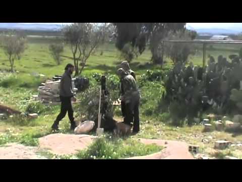 استهداف  قوات النظام بقذائف الهاون من قبل لواء فلوجة حوران في الكتيبة في محافظة درعا