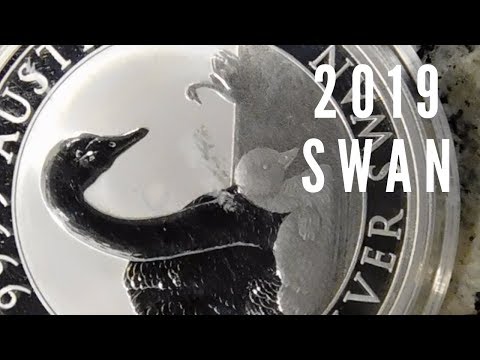 download lagu mp3 mp4 2019 Silver Swan Release Date, download lagu 2019 Silver Swan Release Date gratis, unduh video klip 2019 Silver Swan Release Date