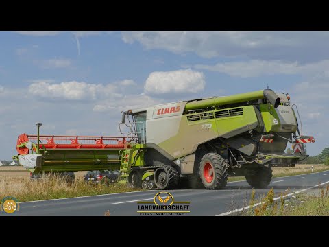 Großeinsatz Getreideernte 2020 - Claas Lexion 770 & 580 Lebensmittel Ernte in der Landwirtschaft