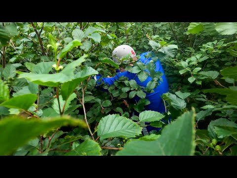 The Treacherous Trail to Iceland's SECRET Waterfall 🇮🇸