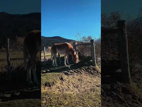 Terrenos Cholila | Chubut | Patagonia Argentina