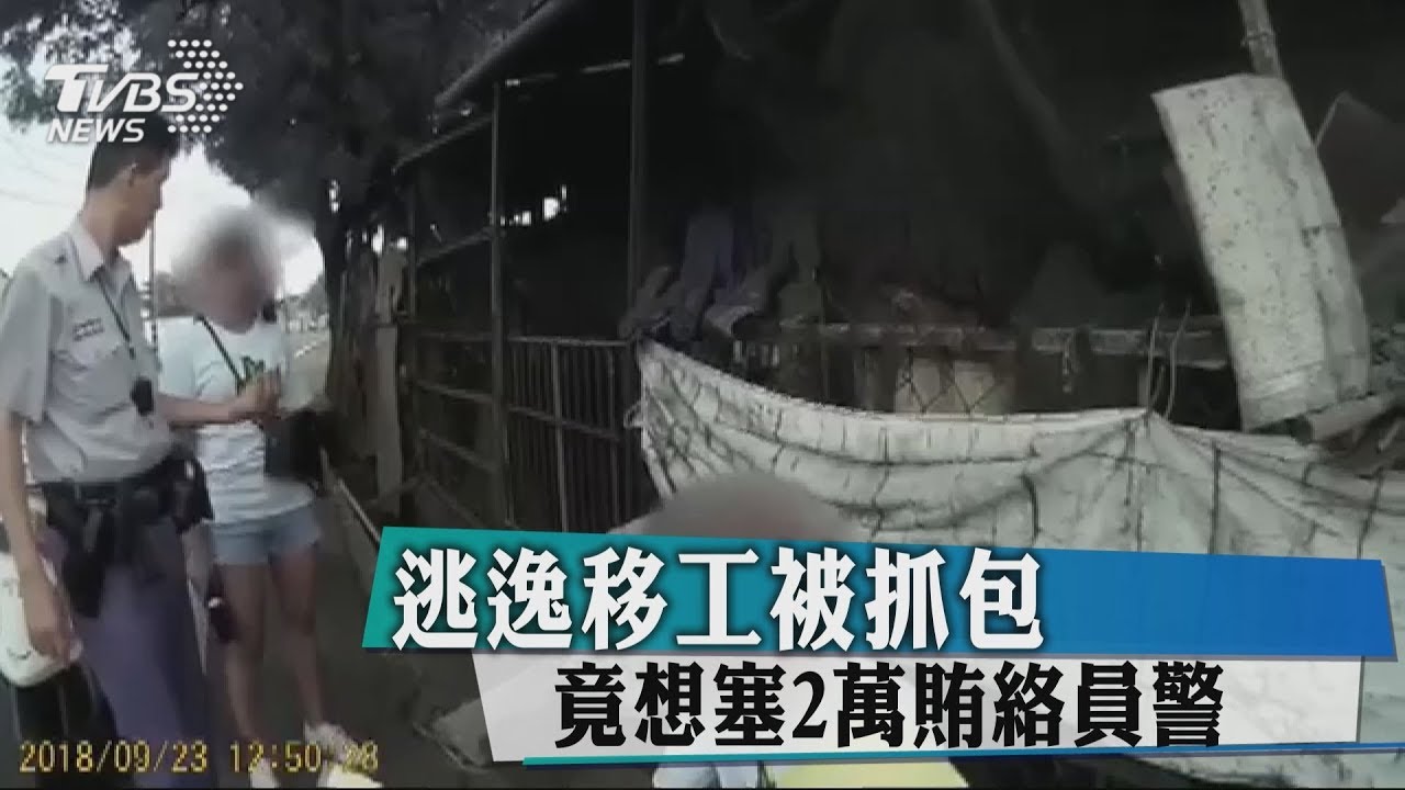 逃逸移工被抓包　竟想塞2萬賄絡員警