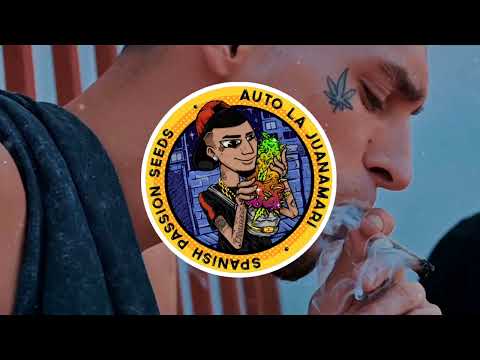 Me bendice mami - El Jincho