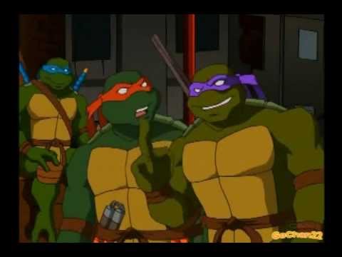 Signal  In the Sky TMNT