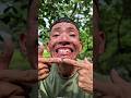 Survival Using Forest Resources Super Useful Tips